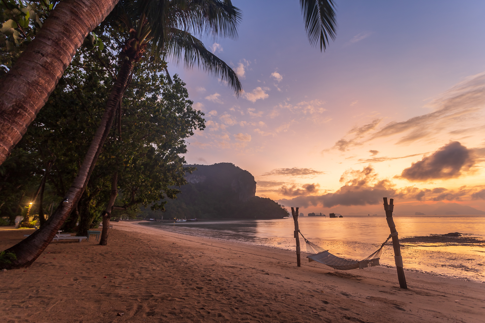 Beach hammock under palms at sunrise